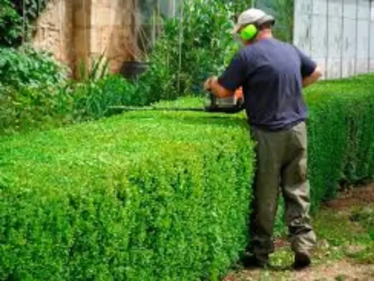 Jardineiro, Jardinagem ou paisagista em Limeira